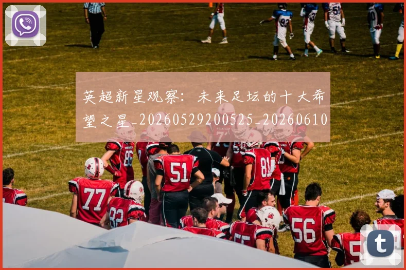 英超新星观察：未来足坛的十大希望之星_20260529200525_20260610170042